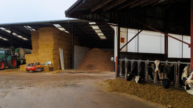 Silo à plaquettes dans une exploitation agricole